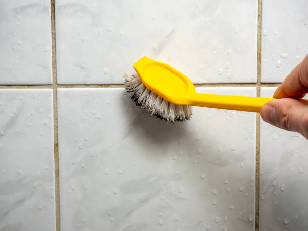 Best Emergency Mold Removal  in Fairfax, IA