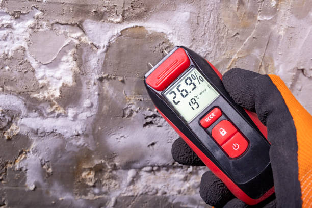 Best Fast Mold Removal  in Fairfax, IA