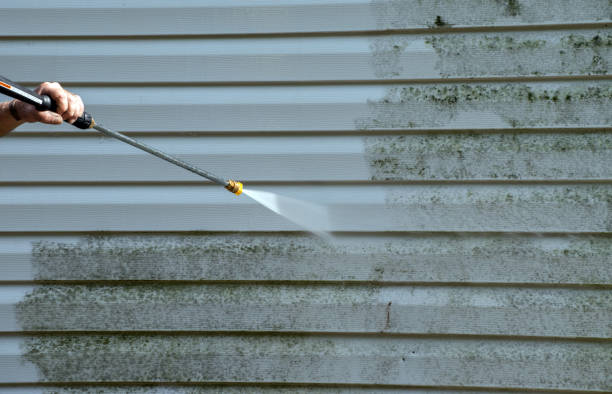 Best Home Mold Removal  in Fairfax, IA