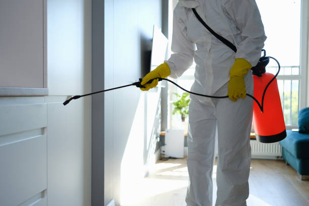 Best Best Mold Removal Companies  in Fairfax, IA