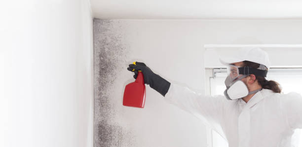 Best Professional Mold Removal  in Fairfax, IA